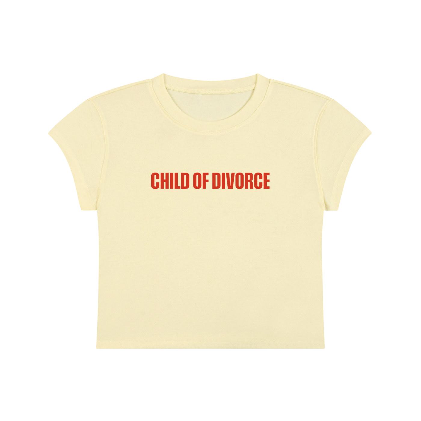 Child Of Divorce Cropped T-Shirt