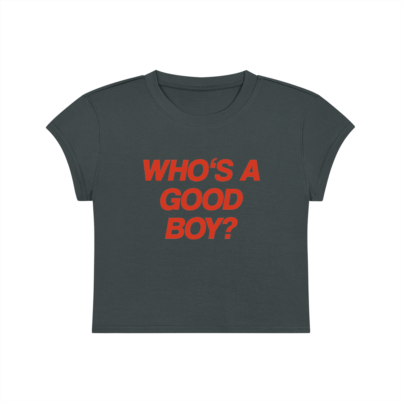 Who's A Good Boy Cropped T-Shirt