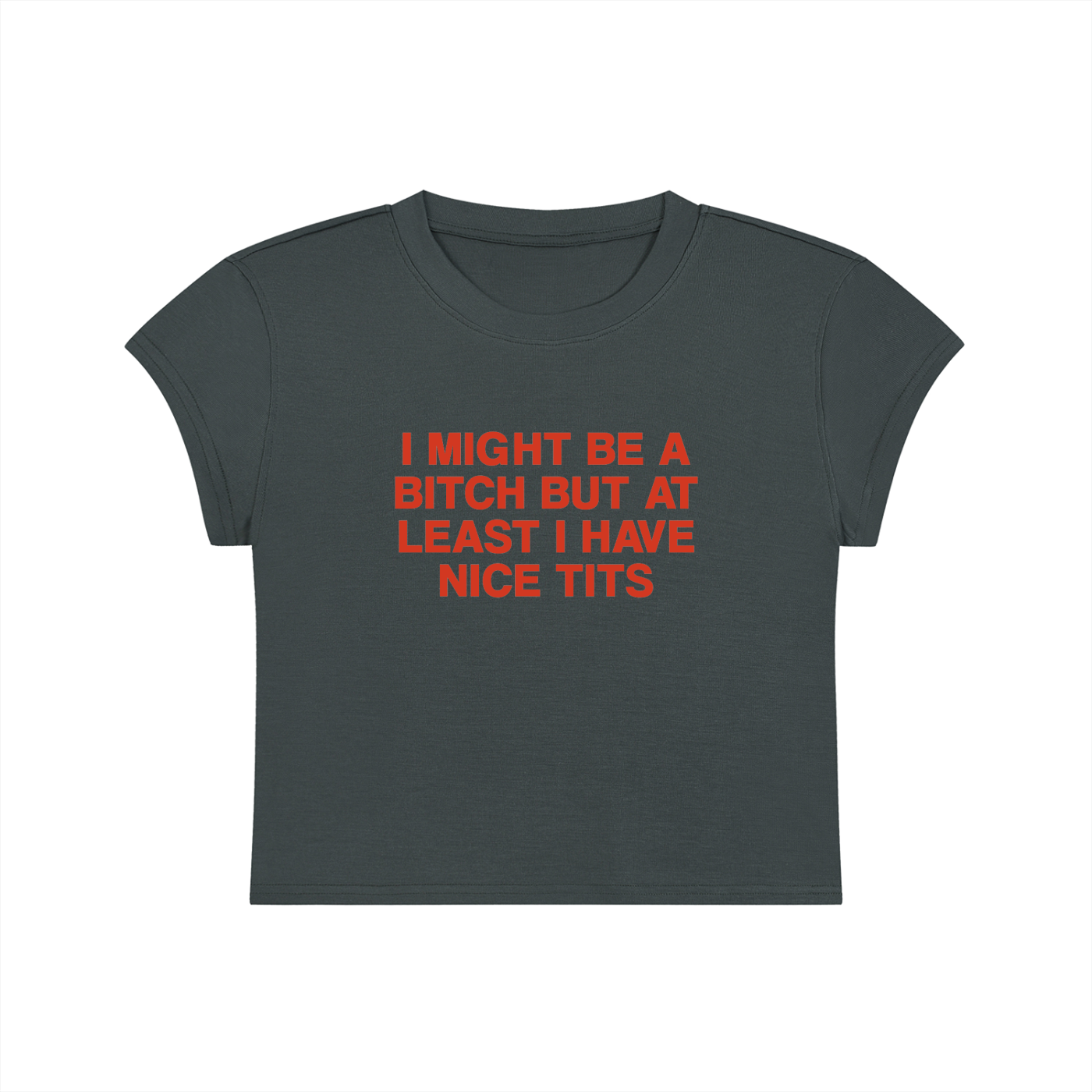 I Might Be A Bitch But At Least I'm Good At Something Cropped T-Shirt