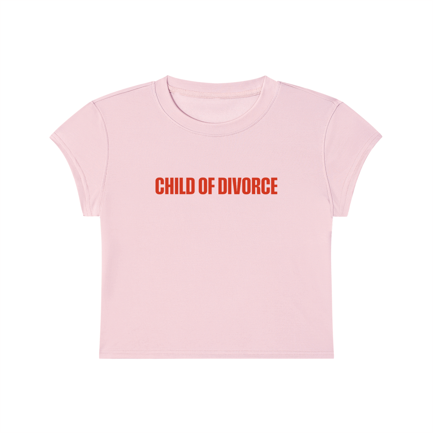 Child Of Divorce Cropped T-Shirt