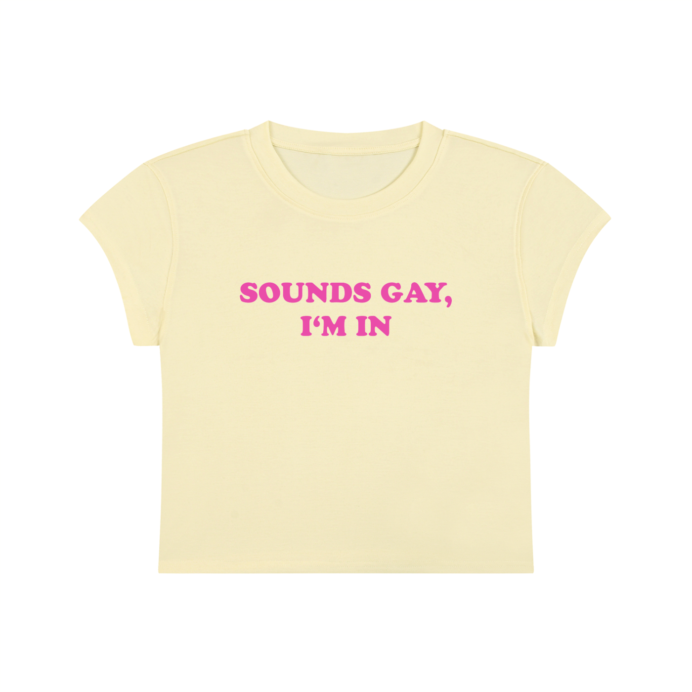 Sounds Gay I'm In Cropped T-Shirt