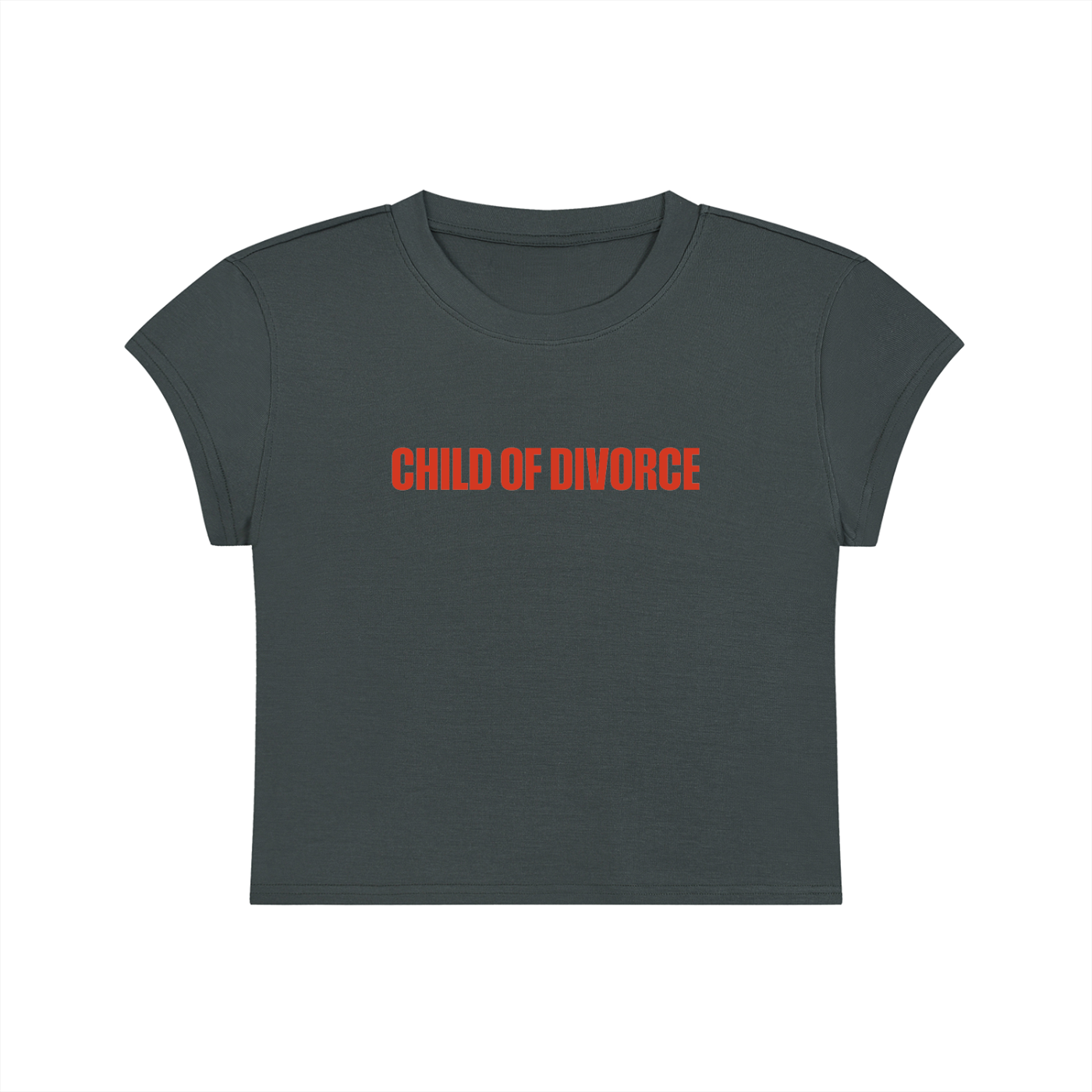 Child Of Divorce Cropped T-Shirt