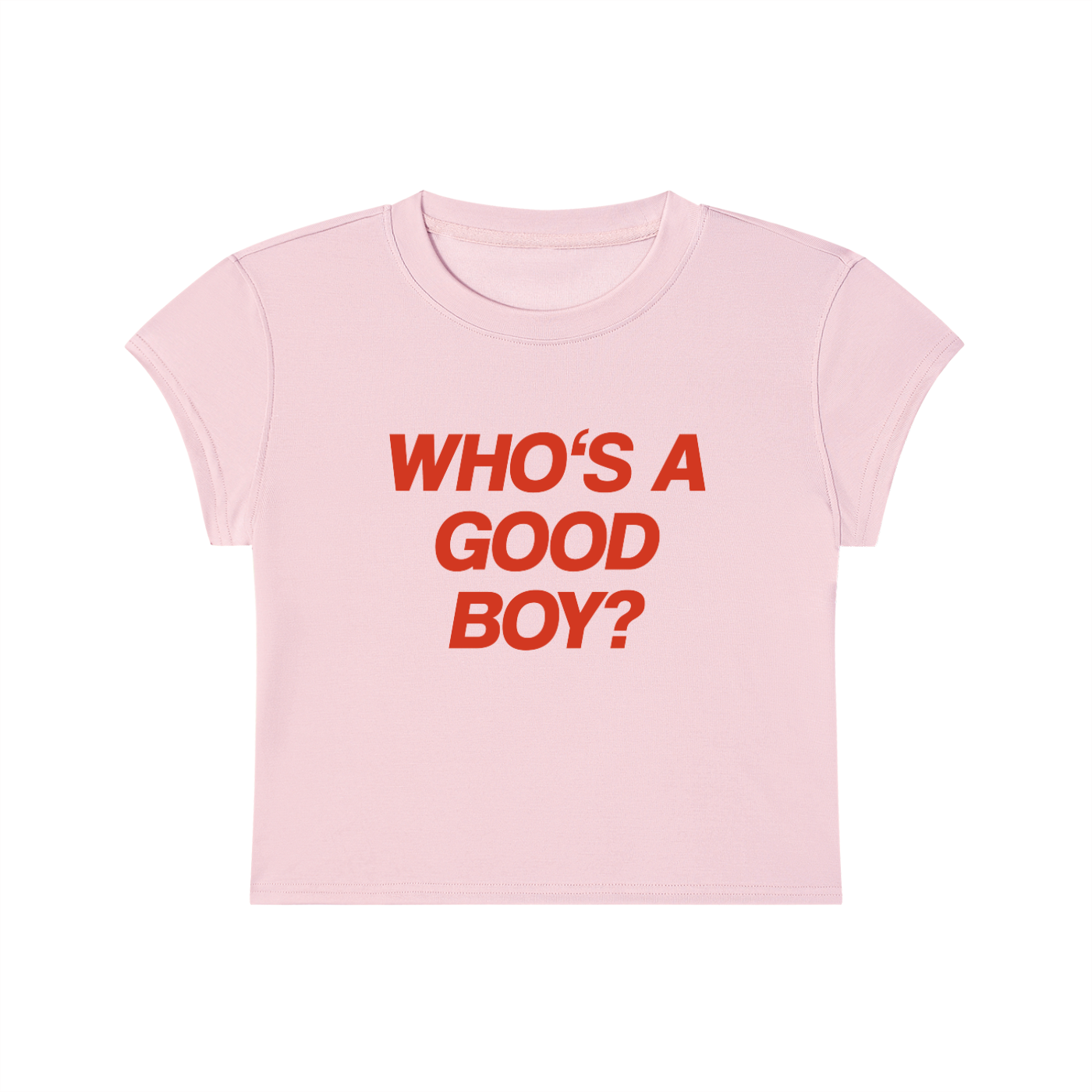 Who's A Good Boy Cropped T-Shirt